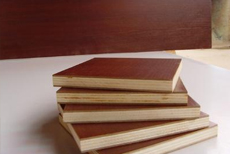 ��(sh��)ľ���Ӱ� 